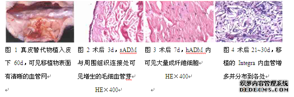 基础1